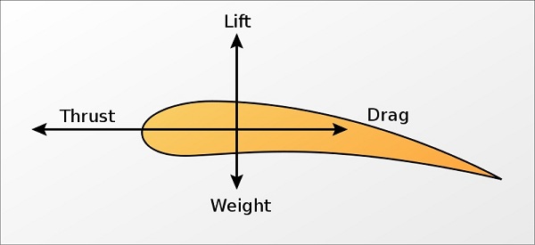  The four forces on an aircraft: lift, weight, drag and thrust. 
